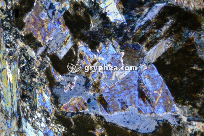 Glaucophane LPA x25 - gryphea.com